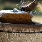 monsoon mosquito remedies