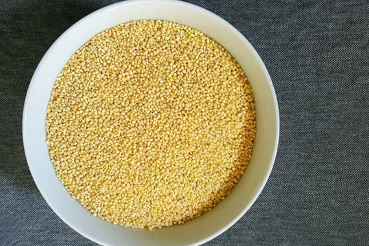 proso millet nutritional profile