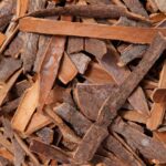 using cinnamon for blood sugar