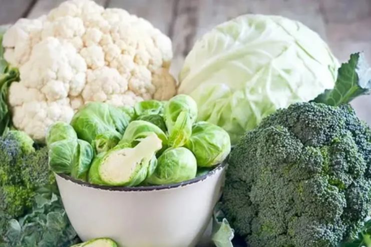 Broccoli, Cabbage and Cauliflower