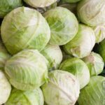 Cabbage vegetables that hydrate