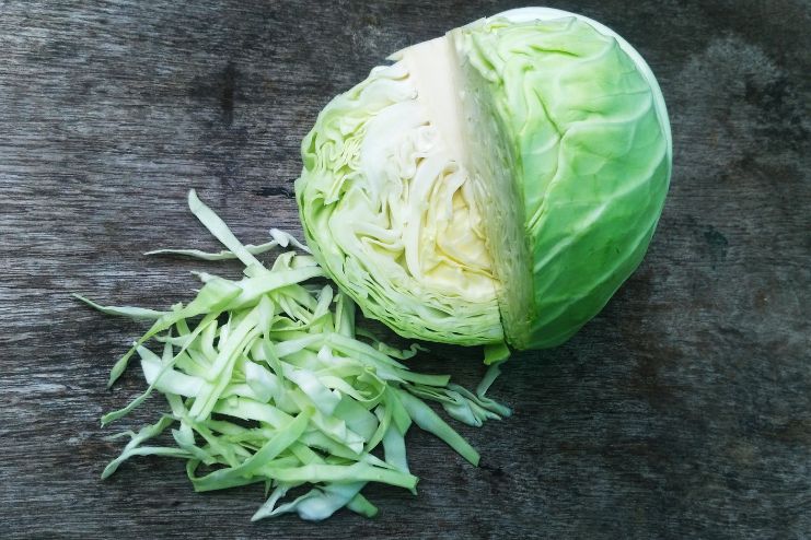 Cabbage