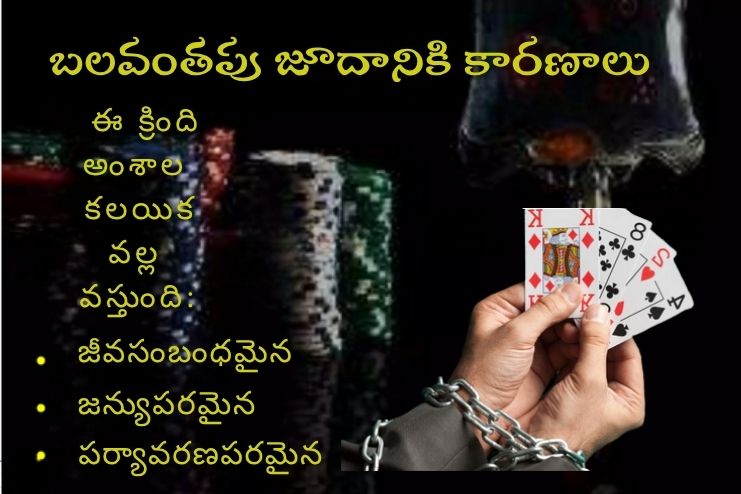 Causes of Compulsive gambling