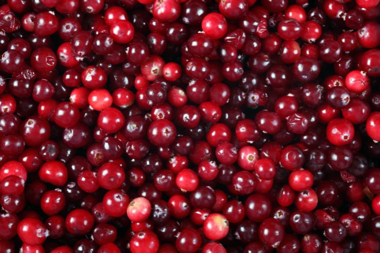 Cranberries