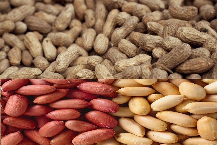 Health benefits of Peanuts