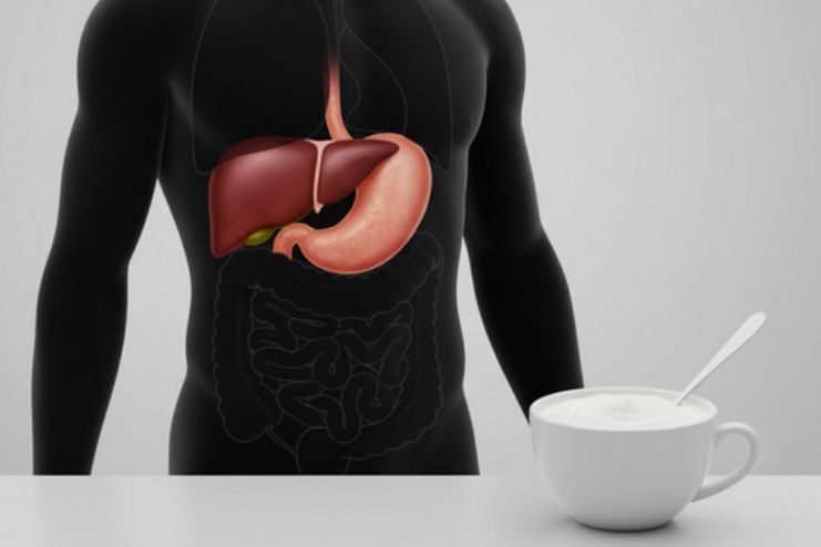 How Curd Supports Gut Health and Liver Function