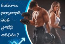 కండరాల నిర్మాణానికి మీకు ఎంత ప్రోటీన్ అవసరం? How much protein required for muscle building