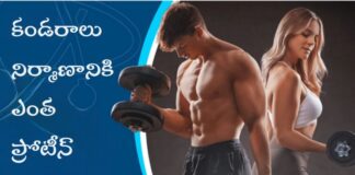 కండరాల నిర్మాణానికి మీకు ఎంత ప్రోటీన్ అవసరం? - How much protein required for muscle building? How much protein required for muscle building