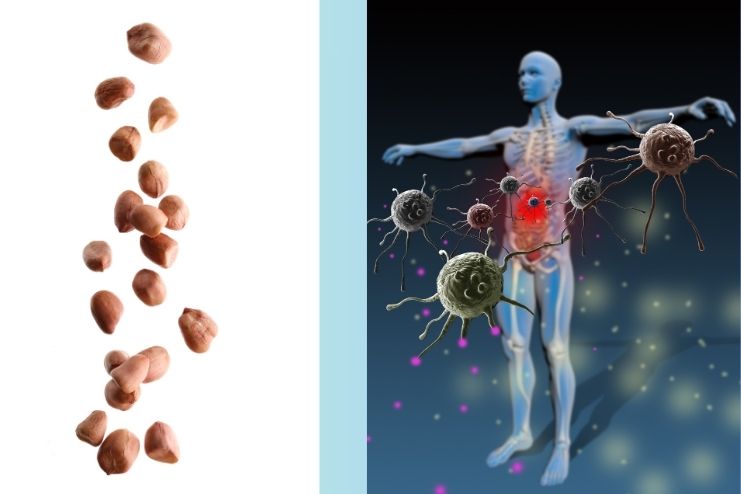 Immune System Support