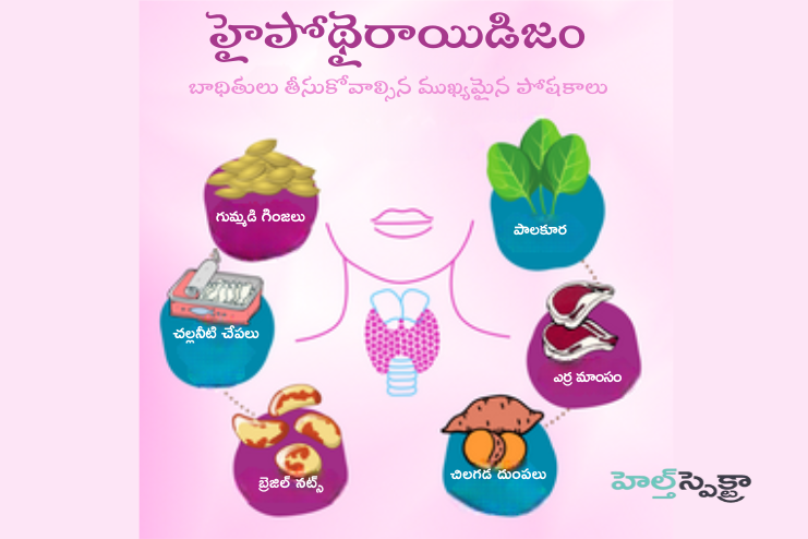 Important Nutrients For Hypothyroidism