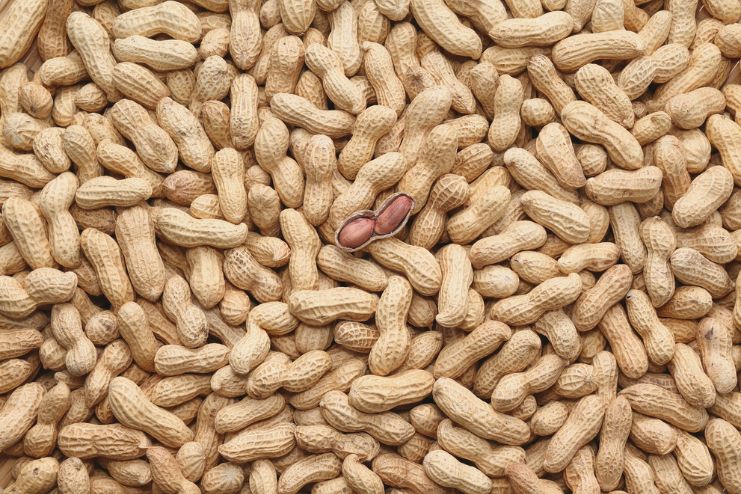 Incorporating Peanuts into Your Winter Diet