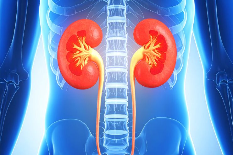 Kidney problems are now more common 2