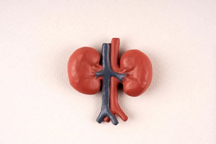 Kidney problems are now more common