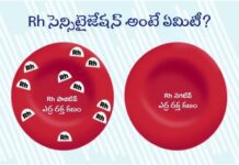 గర్భధారణ సమయంలో Rh సెన్సిటైజేషన్: చికిత్స Rh Sensitization During Pregnancy