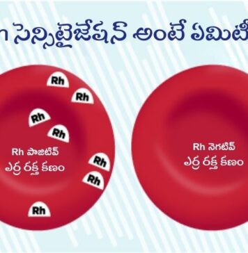 గర్భధారణ సమయంలో Rh సెన్సిటైజేషన్: చికిత్స Rh Sensitization During Pregnancy