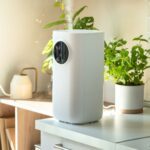 Use a humidifier indoors