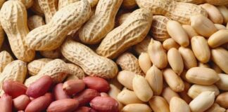 శీతాకాలంలో వేరుశెనగలు తీసుకోవడం వల్ల కలిగే ప్రయోజనాలు - Why Peanuts Are a Great Winter time Snack Why Peanuts Are a Great Winter time Snack