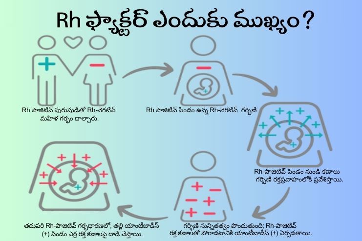 Why is Rh factor important