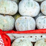 ash gourd for hydration