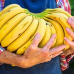 Bananas