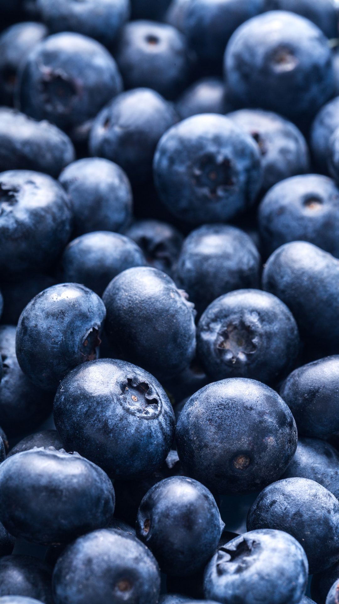 Blueberries