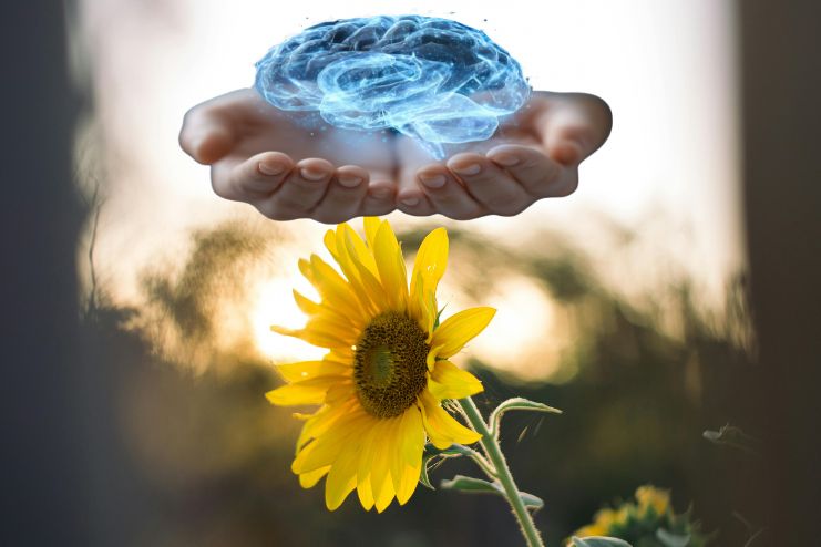 Boosting brain health