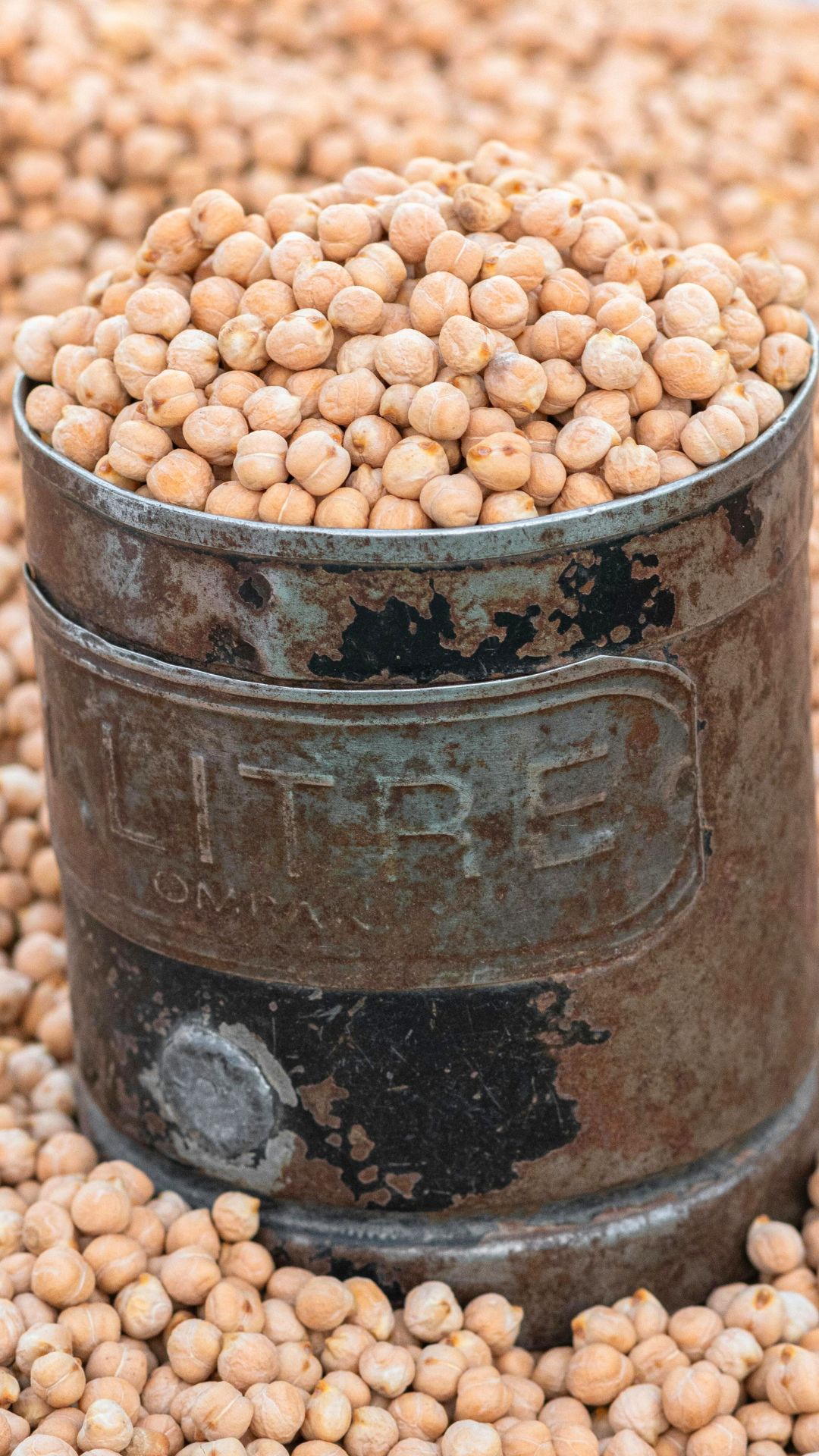 Chickpea