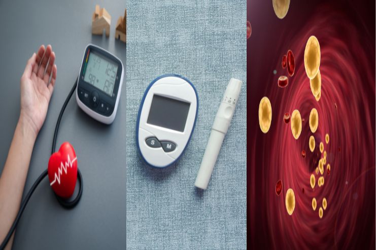 Control BP, Sugar, Cholesterol