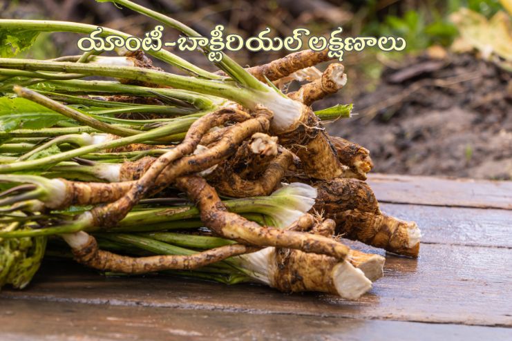 Has antibacterial properties