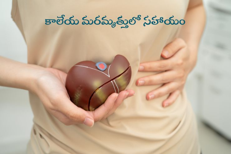 It may aid in liver repair