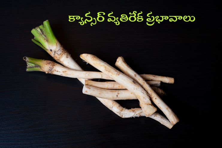 May have anticancer effects