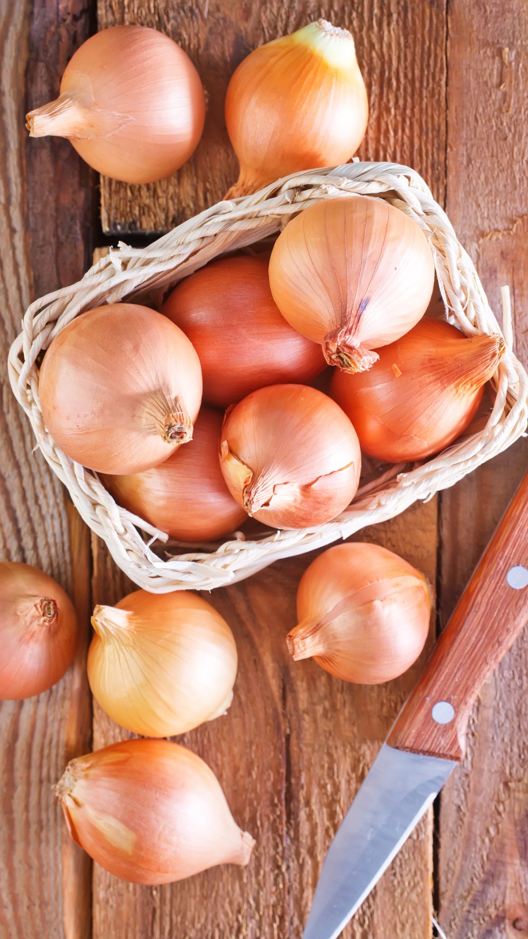 Onions for winter