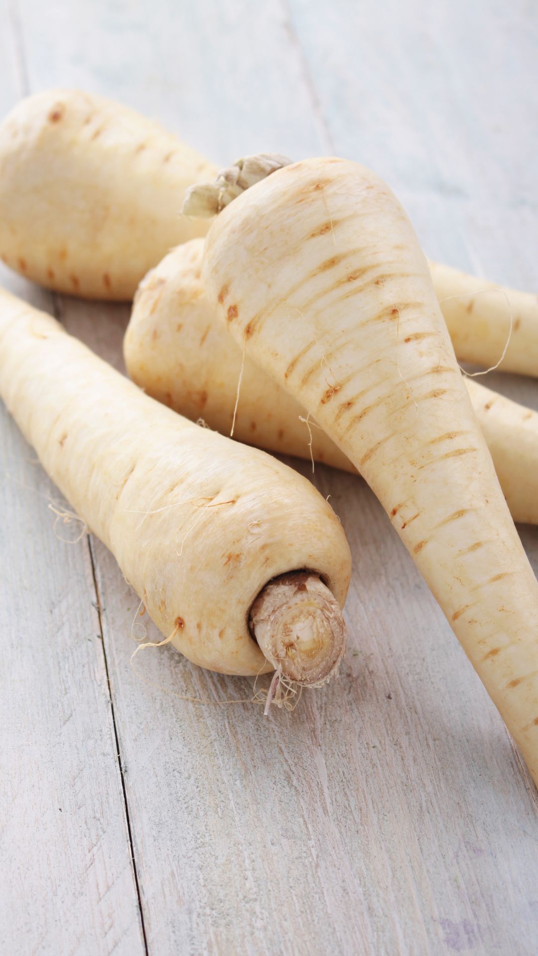 Parsnip