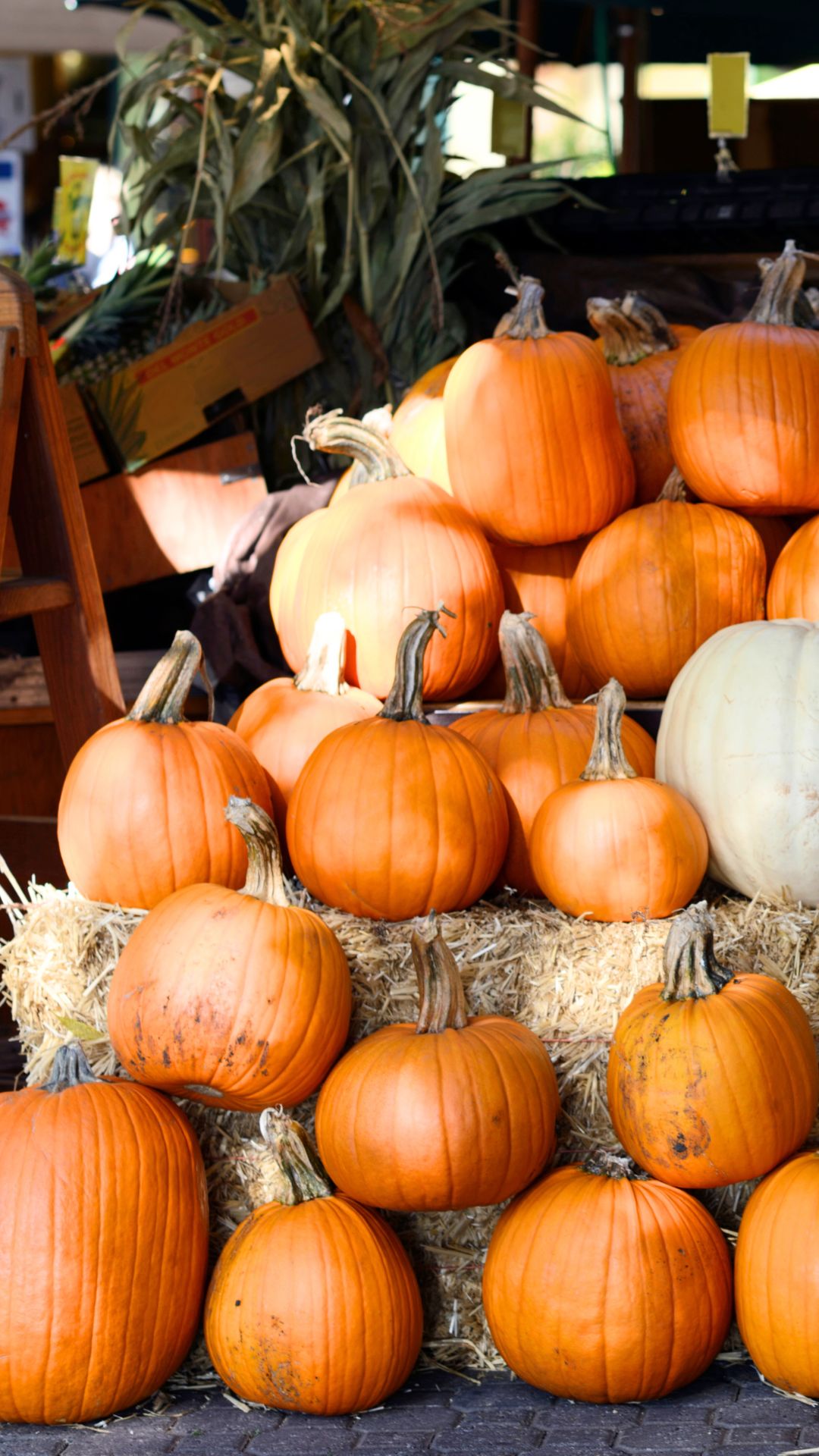 Pumpkins