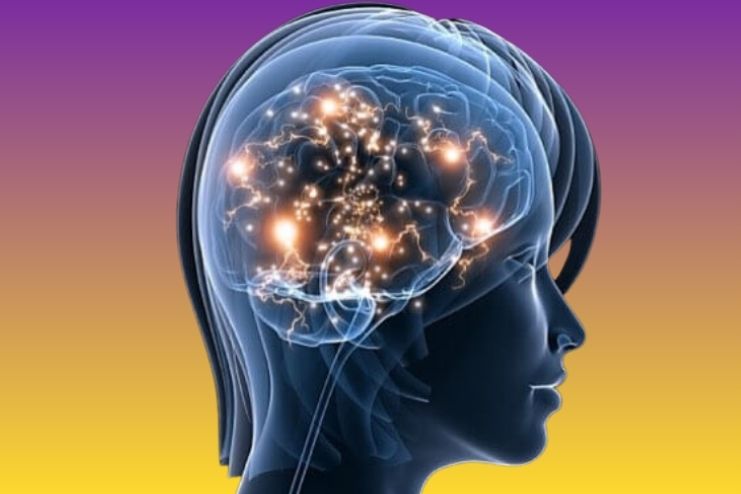 మానసిక దృఢత్వం యొక్క ప్రాముఖ్యత, ప్రయోజనం - <span class='sndtitle'></img>The Importance and Benefits of Mental Fitness </span>