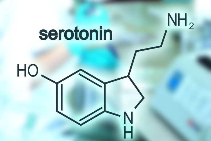 సెరోటోనిన్‌ను పెంచుకోవడానికి 10 ఔషధ రహిత, సహజ మార్గాలు - <span class='sndtitle'></img>10 Drug-Free Strategies to Naturally Increase Serotonin </span>
