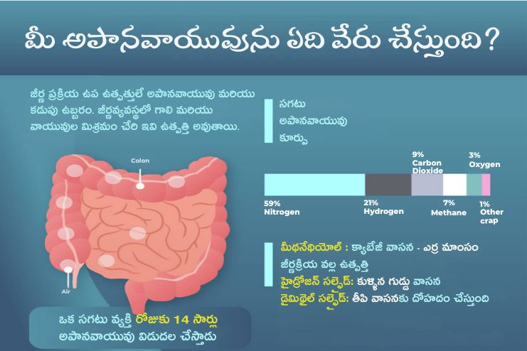 What Causes Farts to Smell