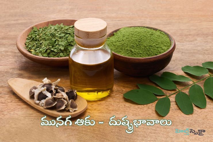 What are the side effects of Moringa