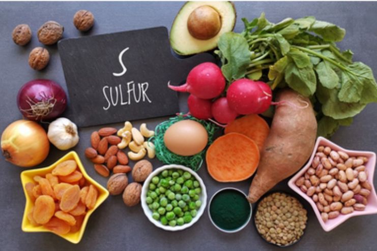 You Eat Lots of High-Sulfur Foods