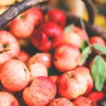 apples for winter diet