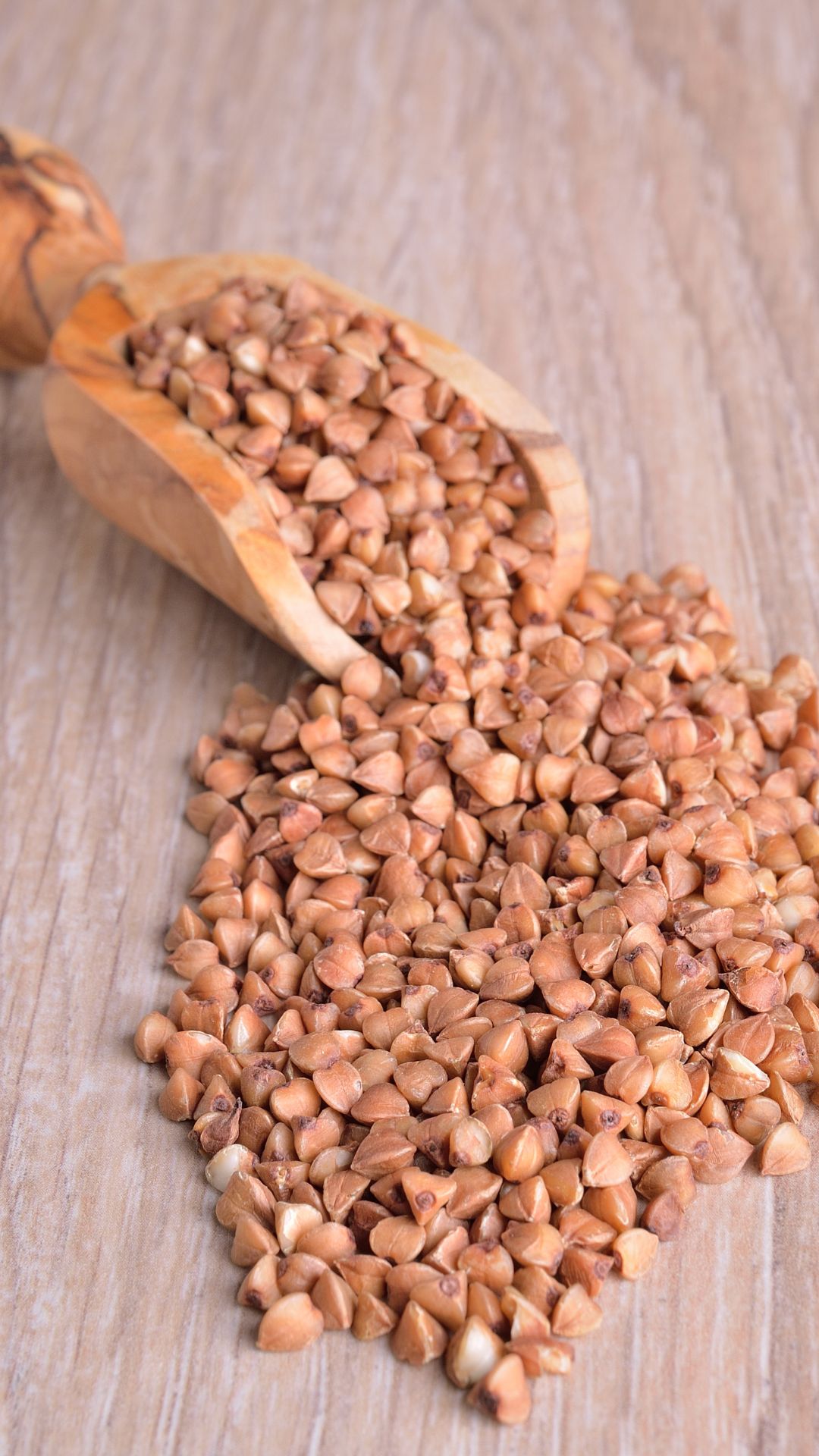 buckwheat