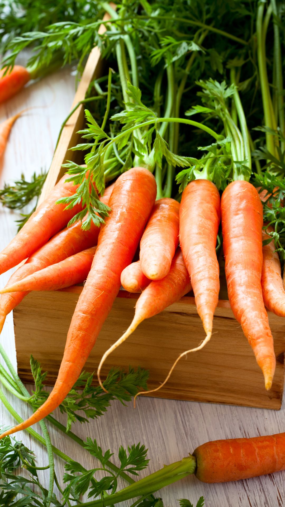 carrot benefits in cold season