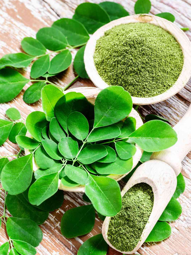 ప్రకృతి ప్రసాదించిన సహజ మల్టీవిటమిన్ ‘మునగ’