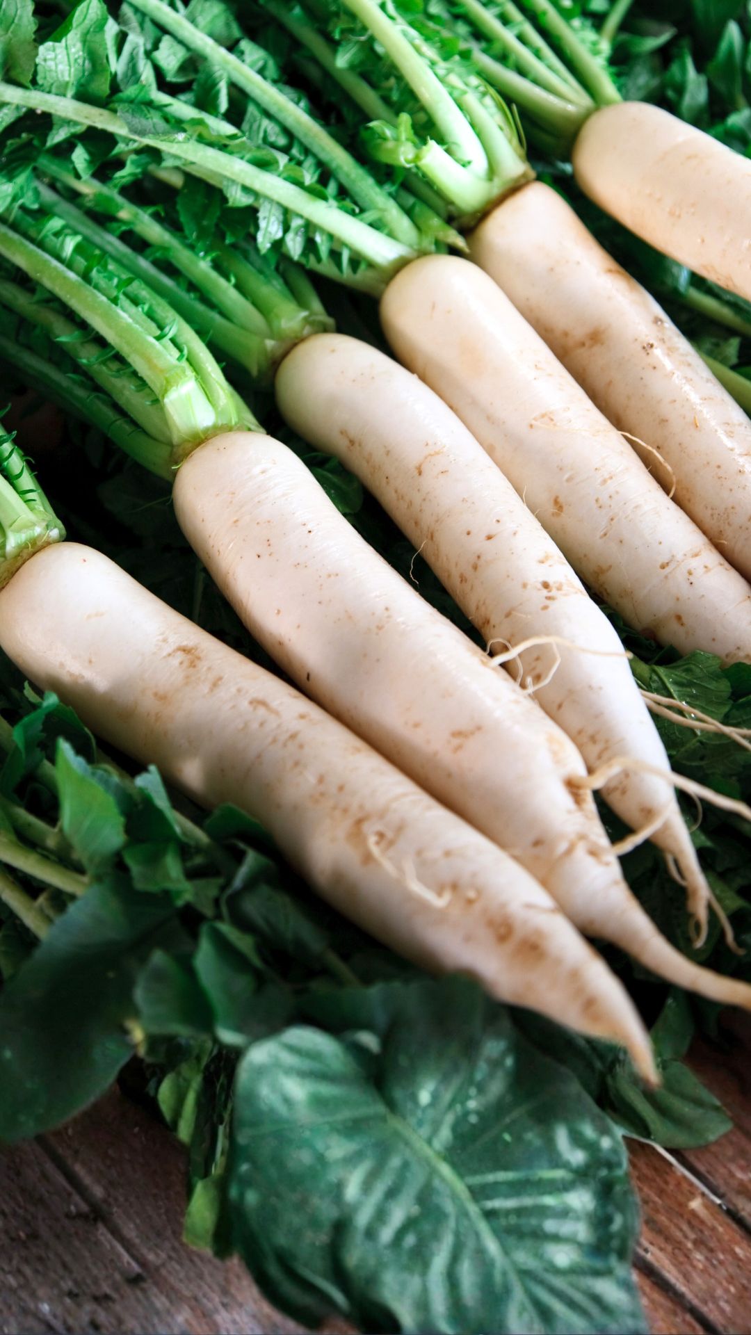 radish benefits in winter