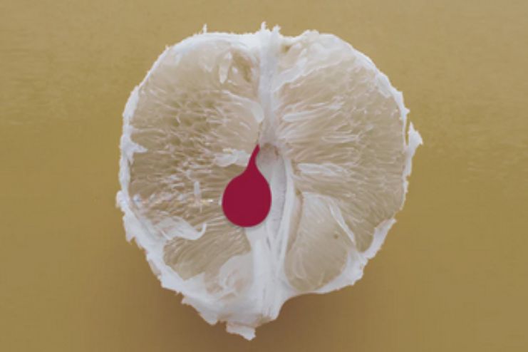 బార్థోలిన్ సిస్ట్: కారణాలు, లక్షణాలు మరియు చికిత్స Bartholin's cyst