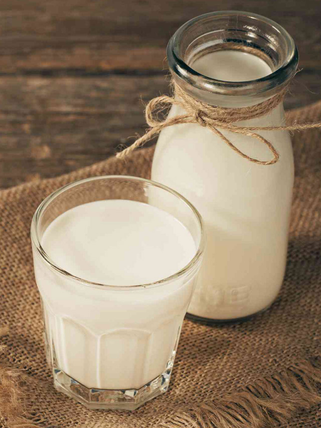 జున్ను పాలు ఉపయోగాలు, అరోగ్య ప్రయోజనాలు