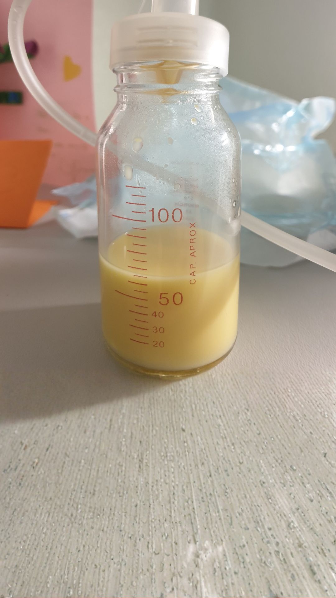 Colostrum is highly nutritious