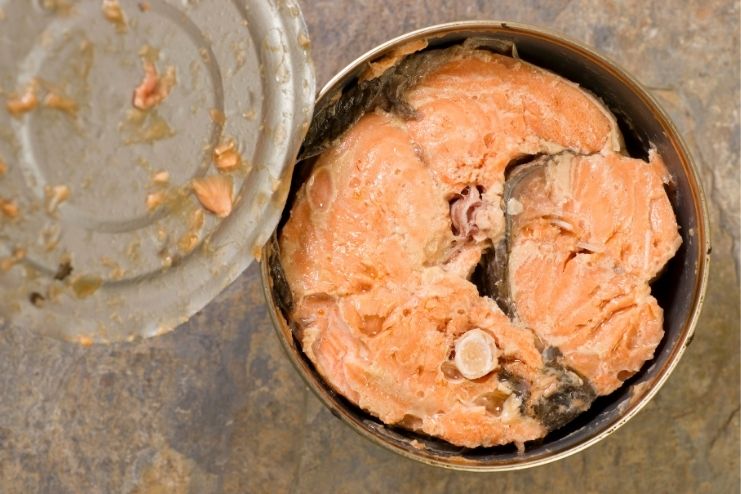 Disadvantages of Canned Salmon