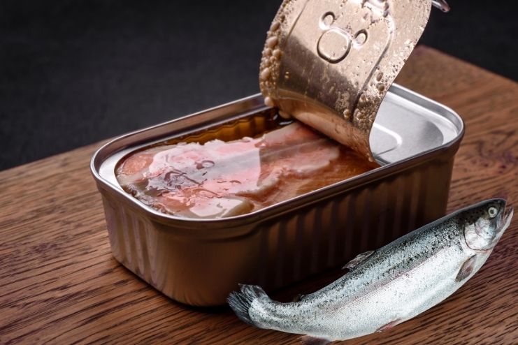 Fresh vs. Canned Salmon 2