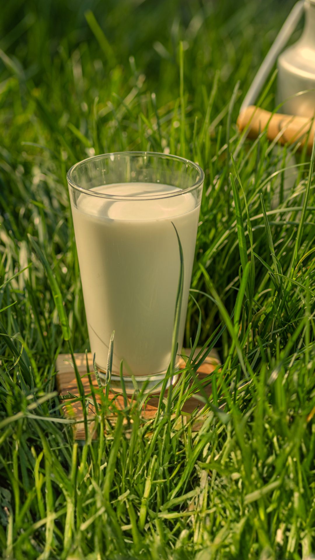 Lactoferrin in colostrum